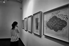 Private galleries enrich HCM City’s arts scene