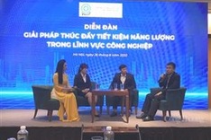 High time for Vietnam to end wasteful use of energy: Experts