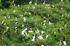 MONRE proposes formulation of Vietnamese Ramsar Site Network