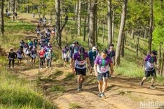 7,000 runners to join Dalat Ultra Trail 2023