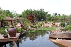 Official's son found destroying protective forest