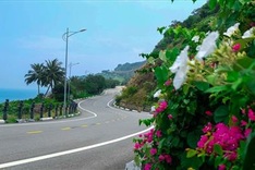 Safety regulations for Son Tra Peninsula visitors issued