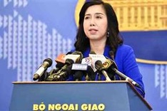 Ministry of Foreign Affairs gives remarks on Chinese film about border conflict with Vietnam