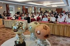 Vietnam Golden Ball Awards 2019 launched