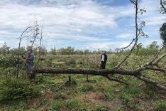 Dak Lak woman needs help to treat cancer