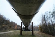 President Ho Chi Minh Mausoleum reopens after end of social distancing