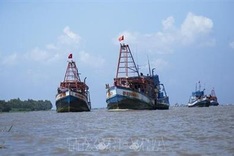 Vietnam’s border guards take tougher actions against IUU fishing