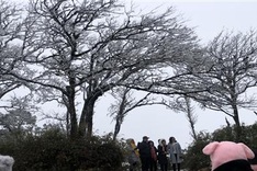 Northern region to face strongest cold spell so far this year