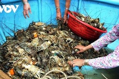 Aquatic sector capitalises on opportunities from FTAs