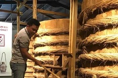 First fish-sauce museum a hit with tourists