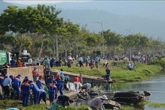 More than 2,000 people join beach cleaning in Da Nang