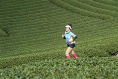 Mộc Châu hosts Vietnam Trail Marathon in harvest season