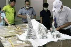 Vietnam seizes 125 kilos of rhino horn hidden in plaster