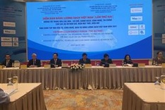 Vietnam Clean Energy Forum looks towards carbon neutrality