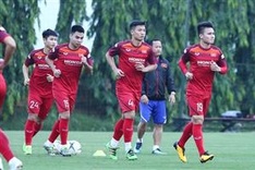 FIFA to provide 1.5 million USD for Vietnamese football