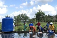 Mekong Delta effectively curbs impacts of drought, saline intrusion