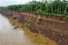 Over 1,000 households in Phu Tho threatened by river erosion
