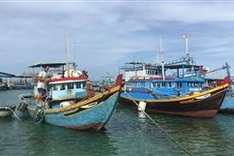 Over 130 fishing boats run out of food amid bad weather at sea