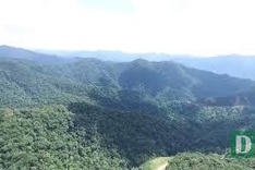 USAID launches two environmental conservation projects