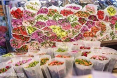 Hanoi’s largest flower market crowded before women’s day