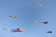 Largest Vietnamese kite to fly high in Vung Tau