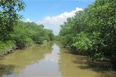 Vietnam establishes Thai Thuy wetland as a nature reserve
