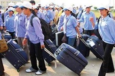 Number of Vietnamese working abroad badly affected by Covid-19