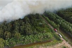 Forest fires spreading in Ca Mau