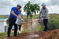 Vietnam raises nearly VND9.50 trillion for forestry project