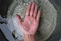 Scientist looks to resurrect Hong Kong's 'Pearl of the Orient' past