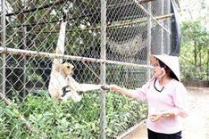 Khmer wildlife rescuer devoted to conservation work