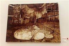 Exhibition features young artistic talents