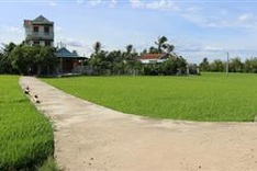 Phu Yen poor woman needs help to survive cancer