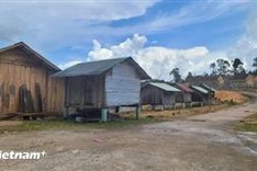 Vietnam hit by 36 earthquakes in September
