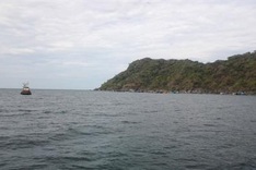 Ca Mau to set up protected forest area on Hon Khoai-Hon Chuoi islands