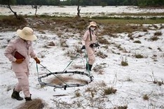 Quảng Trị targets 3,000ha of land freed from UXO each year