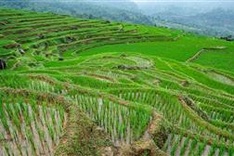 Vietnam launches website promoting sustainable tourism to foreign tourists