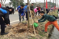 Hanoi launch tree plan this year