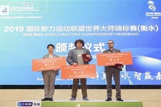 Vietnamese chess masters win silvers