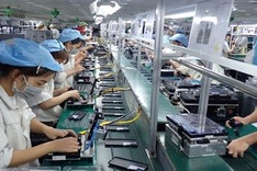 Record number of new firms seen in eight months