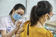 Nano Covax producer asked to provide more data