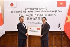 Vietnam donates 140,000 face masks to Japan to help fight COVID-19