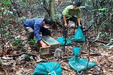 Rare Dak Nong animals released into the wild