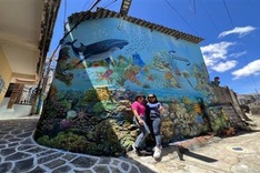 Murals revitalise Binh Dinh fishing village