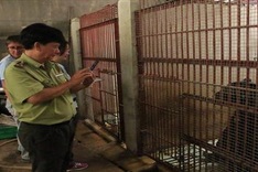 Two more bears rescued in Binh Duong