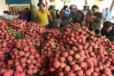 Bac Giang calls for farm produce sale support amid Covid-19 outbreak