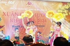 Vietnamese in Malaysia, Brunei enjoy Tet