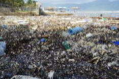 Danang beaches suffer waste following torrential rains