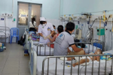 Dengue fever surges, HCM City on red alert