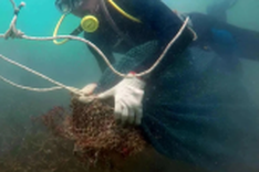Divers collect rubbish from Con Dao coral reefs